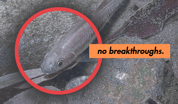 Fishy Text in Research Articles: Fraud or Fault?