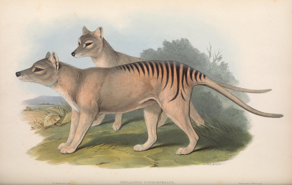 THE ONE ABOUT DE-EXTINCTION (sorry)